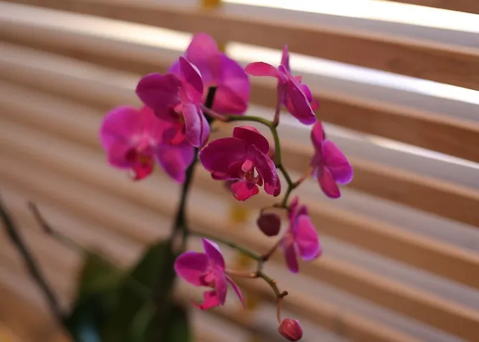 Bed & Atmosphere Casa de hóspedes Split